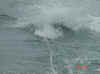 DSC01771.JPG (148130 bytes)